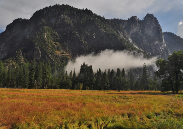 the valley after a rain